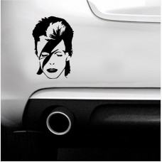David Bowie Ziggy Stardust CAR VAN STICKER CAR BOAT WINDOW VINYL DECAL